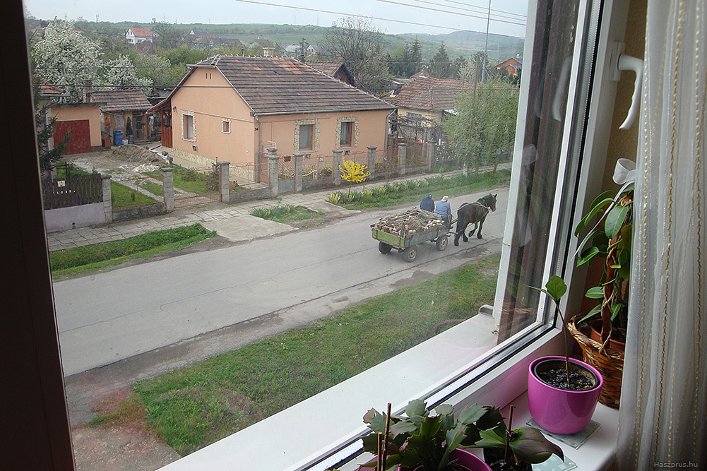 current image